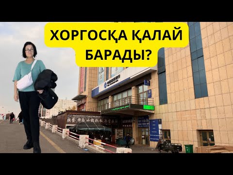 Видео: ХОРГОСҚА ҚАЛАЙ БАРАДЫ.
