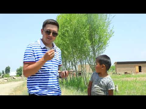 Видео: Төө-Моюнга сапар 05.06.2021