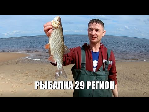 Видео: Рыбалка на берегу Белого моря Май 2022