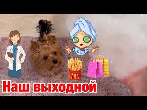 Видео: DOG VLOG: Боня проходит ежегодную диспансеризацию // Что говорят врачи // Зашли в Дог Бутик