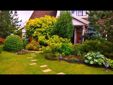 Видео: Садовое творчество Идеи для благоустройства / Garden creativity Ideas for arrangement