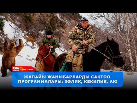 Видео: Жапайы жаратылышты сактайлы! Браконьерлерге каршы күрөш