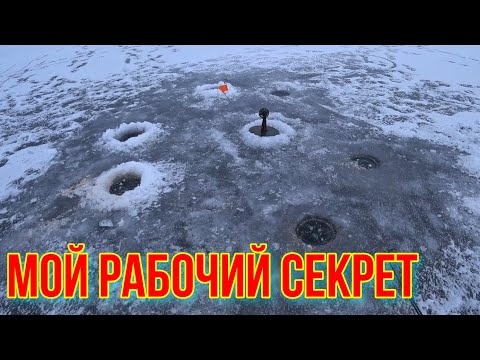 Видео: Жерлицы Зимой. Делюсь Полезными Советом.