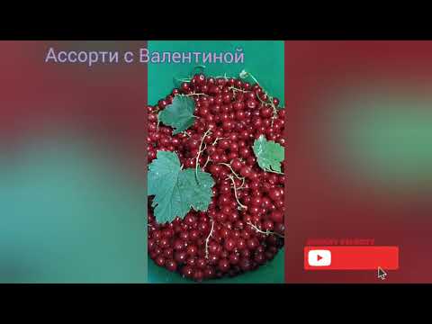 Видео: ОБНОВКА НА КУХНЕ - РАДОСТЬ ХОЗЯЙКЕ. Лоскутное шитье - всегда неожиданный результат