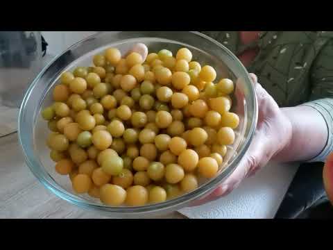 Видео: ФИЗАЛИС- ЭТО ВКУСНО И ПОЛЕЗНО! | #1053