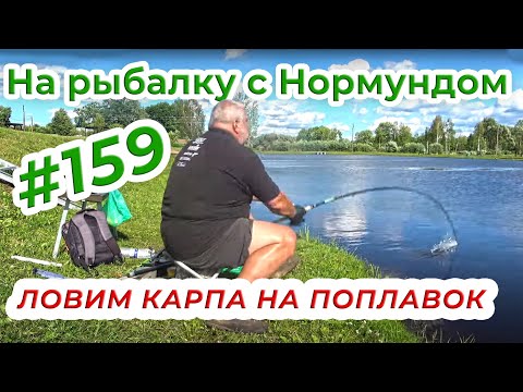 Видео: ПОПЛАВОК НА КАРПОВОМ ПЛАТНИКЕ / На рыбадку с Нормундом #159