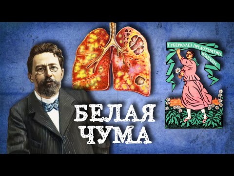 Видео: В запущенных случаях заживо разлагаются внутренние органы. Мы до сих пор не победили эту болезнь