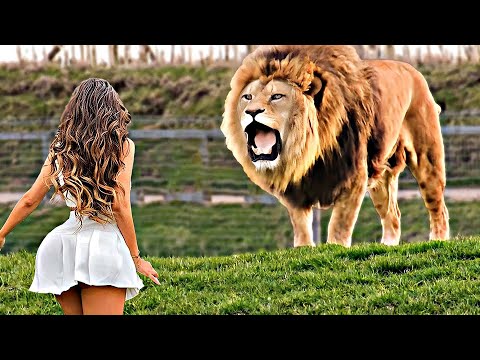 Видео: Попробуй НЕ ЗАПЛАКАТЬ! 😥 Топ 25 Моментов Встречи Животных с Хозяевами После Долгой Разлуки №11