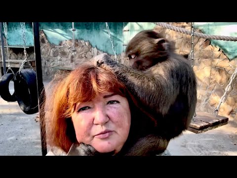 Видео: Пока Степа делает мне ШЕДЕВРАЛЬНУЮ прическу,Люська получает от девчонок такой релакс-это надо видеть