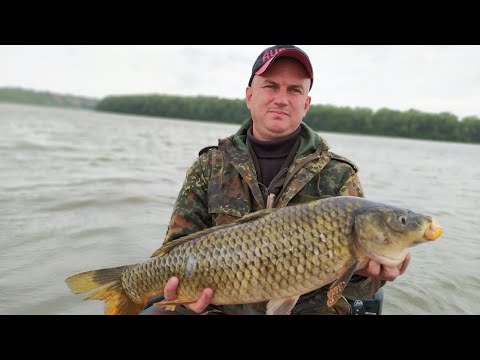 Видео: Поймал сазана , паровоз так паровоз . Рыбалка на донки