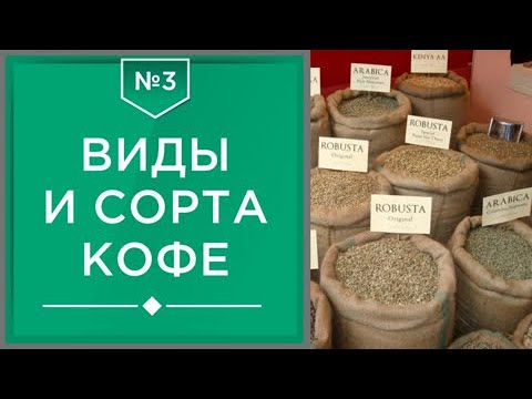 Видео: Виды и сорта кофе | Какие они бывают и сколько их существует ☕
