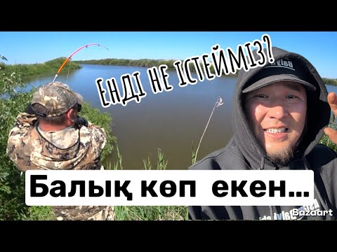 Видео: Балық  өте көп керегін қуырдық Жазғы балық аулау Киік жылқылар керемет демалыс!