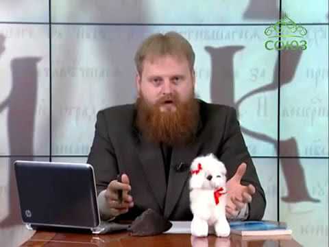 Видео: 4.1.4. Артикуляционная классификация согласных