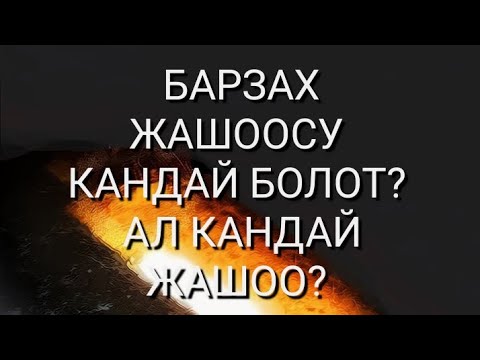 Видео: БАРЗАХ жашоосу