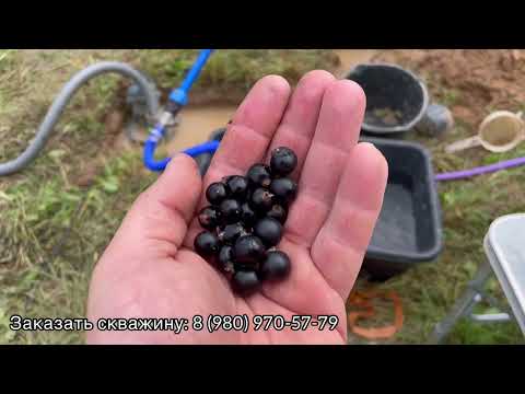 Видео: Пески, стаб, бентонит, камни - бег с препятствиями || Бурим сами абиссинскую скважину