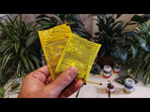 Видео: Қишда гулларга шу 2 та озуқани ишлатинг, натижаси даҳшат. Арзон, кучли ва натижаси зўр озуқалар.