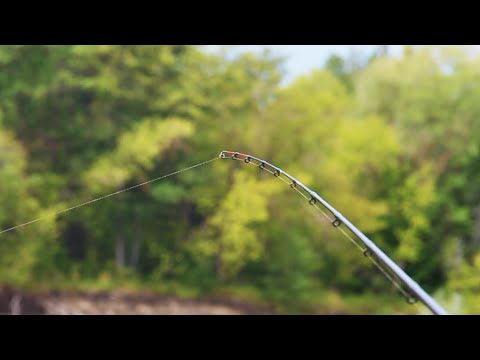 Видео: РЫБАЛКА НА ФИДЕР в августе!Бешеные Поклëвки КРУПНОГО ЛЕЩА!