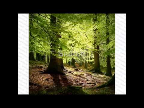 Видео: Агмы:Тарохоро Чародоро Ярга Драго Весе