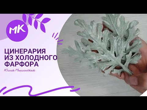 Видео: Цинерария из холодного фарфора
