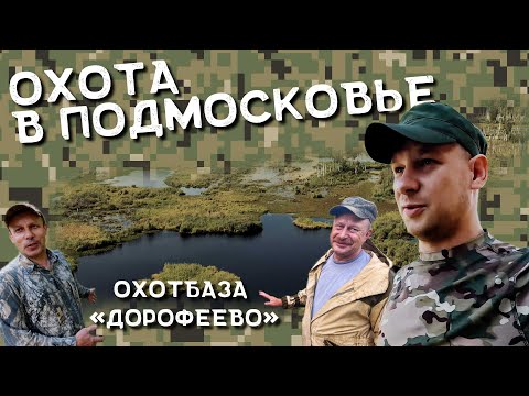 Видео: Куда поехать на охоту в Московской области?