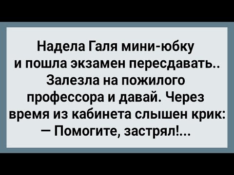 Видео: Как Галя Экзамен Пересдавала! Сборник Свежих Анекдотов! Юмор!