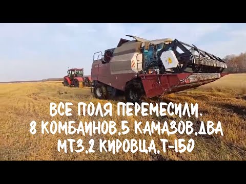 Видео: Тяжелая уборка урожая.Все комбайны буксуют.Кировец сторожит в поле.Сломался ACROS,Дон.Утонул мтз 82