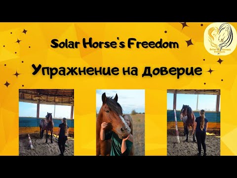 Видео: Упражнение на доверие: Осаживание в коридоре. Проработка страхов лошади.