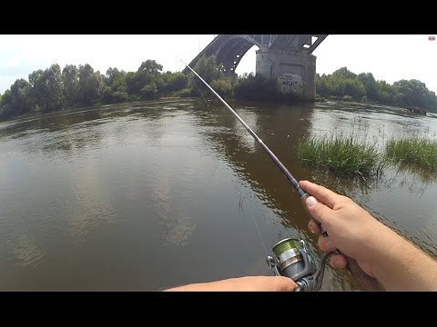 Видео: ЖАРКОЕ УТРО (Часть№2) - Поиск окуня на мелководном плато