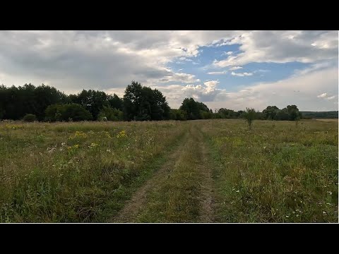 Видео: Сплав по реке Хопёр. Заброска. 07 августа 2024г.