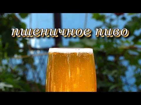 Видео: Рецепт пшенично пива от Алкофана. Домашнее пивоварение