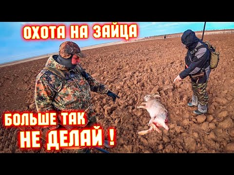Видео: ЗАЯЦ в каждой ПАШНЕ! ОХОТА НА ЗАЙЦА. Декабрь.Hare hunting.#охотаназайцапочернотропу #охотаназайца