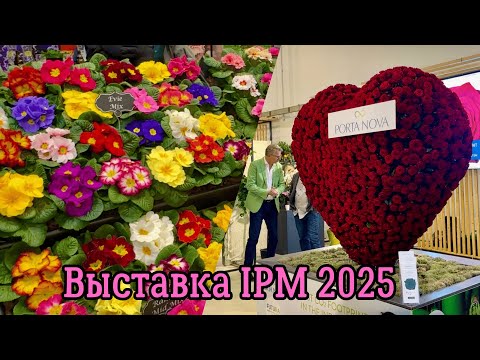 Видео: Лучшая выставка растений и цветов в Германии. IPM 2025