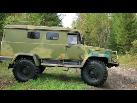 Видео: Гольцовый