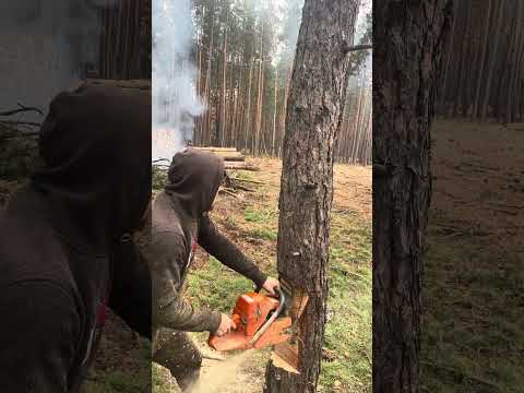 Видео: 9 листопада 2025 р.