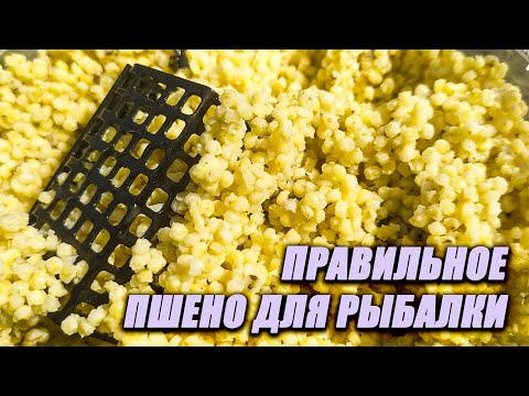 Видео: КАК ПРИГОТОВИТЬ ПШЕНО ДЛЯ РЫБАЛКИ? 4 ОШИБКИ, КОТОРЫЕ ДОПУСКАЮТ РЫБОЛОВЫ ПРИ ВАРКЕ ПШЕНА