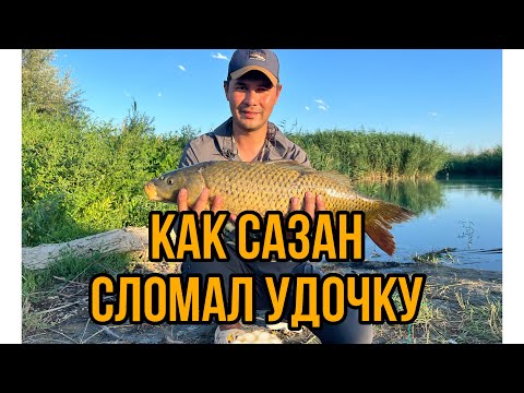 Видео: Рыбалка на протоках Или. Как сазан сломал удочку ?!  #рыбалка #рыбалканапротокахили #сазан