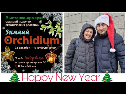 Видео: Зимний Орхидиум 22.12.2024, Москва, "Амбер Плаза"