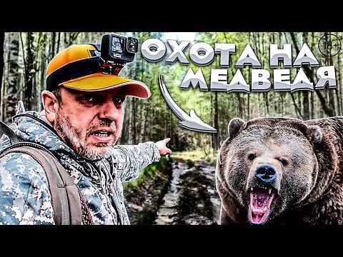 Видео: Охота на медведя с лайками Зубова А. Ф.  Зафигачил ПАТРОЛ подписчика