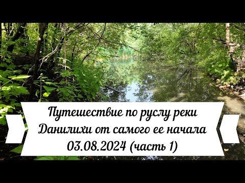 Видео: Путешествие по руслу реки Данилихи от самого ее начала 03 08 2024 часть 1