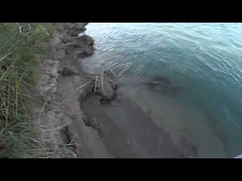 Видео: рыбалка на р.Или  09.2025 часть первая.