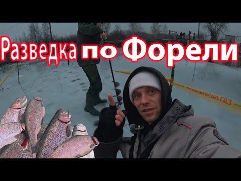 Видео: Форелевая Рыбалка на Новом Водоеме Топ Видео по Форели