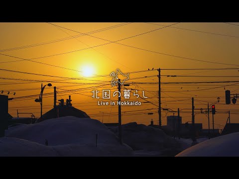 Видео: Таяние снега на Хоккайдо, Япония