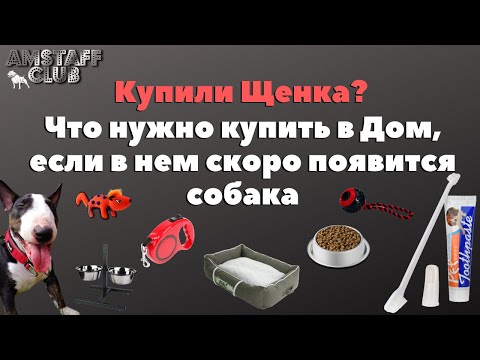Видео: Что нужно купить щенку, перед его появлением в доме!