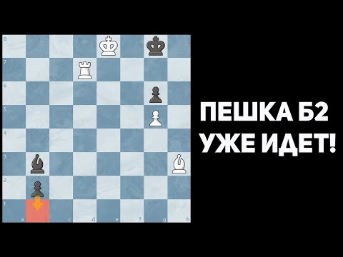 Видео: ПЕШКА Б2 ИДЕТ В ФЕРЗИ! Что делать?