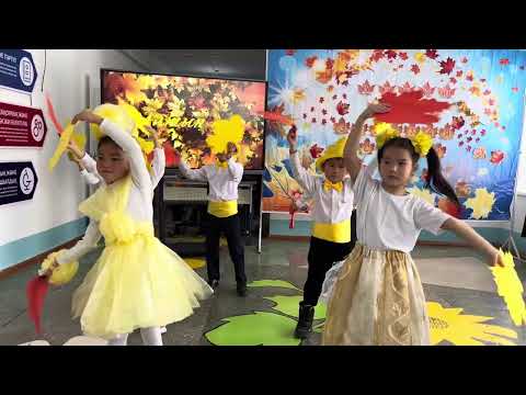 Видео: 7 ноября 2025 г.