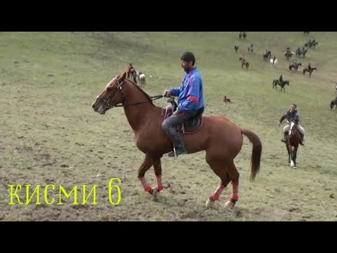 Видео: бузкаши н.Темурмалик д.Муродбахш 08_02_2025 кисми 6