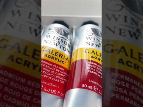 Видео: ОБЗОР ВИНЗОР АНД НЬЮТОН