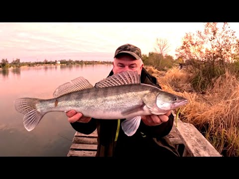 Видео: Днестровские хищники,база Зеленый  остров ,43 км.