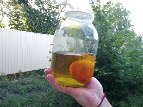 Видео: Домашняя настойка на самогоне с апельсином и кофе: "Кофейный Апельсин".