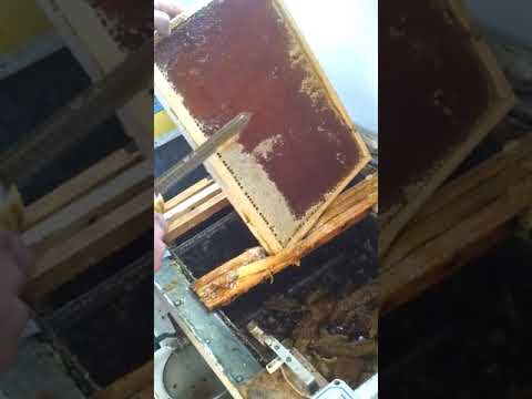 Видео: Обзор электрического ножа 12В, 190Вт, 220Вт нержавеющая сталь (Би-пром)